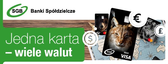 Wielowalutowość BSy 550 x 210