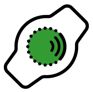 zegarek